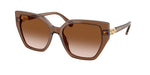 106713 - Transparent Brown / Gradient Brown