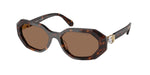 100273 - Dark Havana / Dark Brown