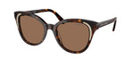 100273 - Dark Havana / Dark Brown