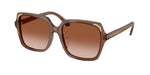 106713 - Transparent Brown / Gradient Brown