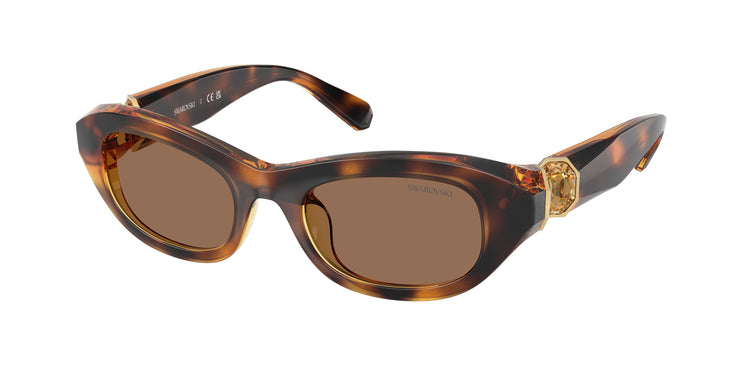 100273 - Havana / Dark Brown