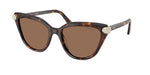 100273 - Havana / Dark Brown