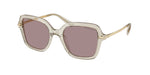3003LA - Transparent Beige / Violet