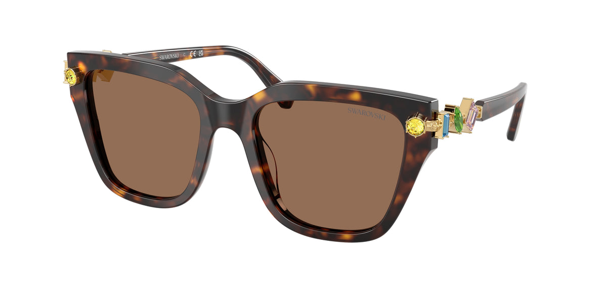 100273 - Havana / Dark Brown