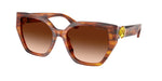109174 - Striped Brown / Brown Gradient