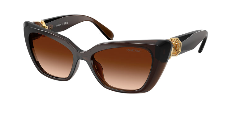 108474 - Transparent Brown / Brown Gradient