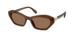 108473 - Transparent Brown / Dark Brown