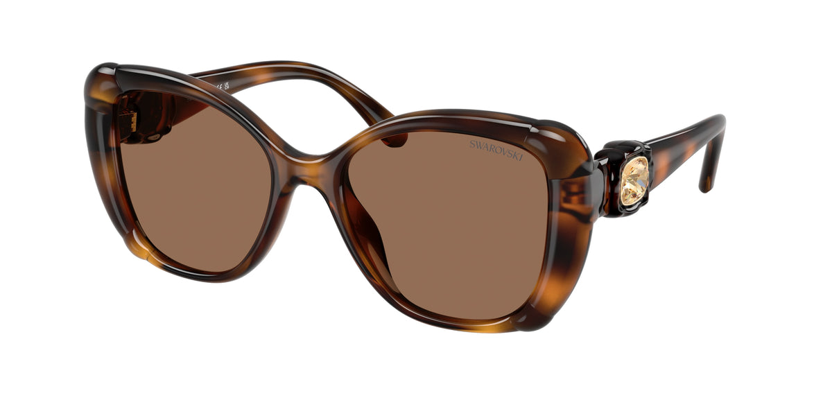 100273 - Havana / Dark Brown