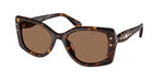 100273 - Havana / Dark Brown