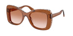 109573 - Transparent Brown / Gradient Brown