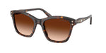 100274 - Havana / Gradient Brown