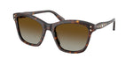 1002T5 - Havana / Polarized Brown Gradient