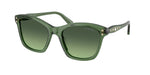 10852A - Transparent Green / Gradient Green