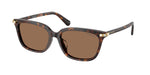 100273 - Havana / Dark Brown