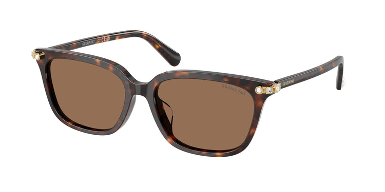 100273 - Havana / Dark Brown