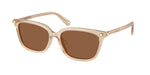1034OK - Milky Beige / Bronze
