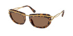 403573 - Light Havana / Dark Brown