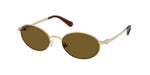 404673 - Pale Gold / Light Brown