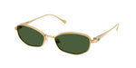 400471 - Gold / Dark Green