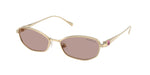 40137N - Pale Gold / Light Purple Brown