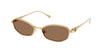 403773 - Gold / Dark Brown