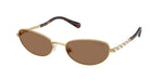 400473 - Gold / Dark Brown