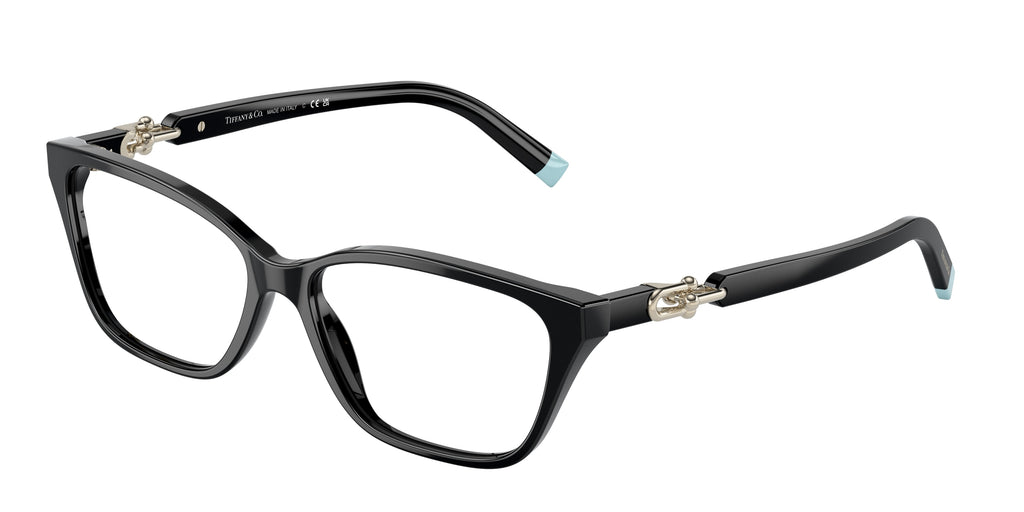 8001 - Black / Demo Lens