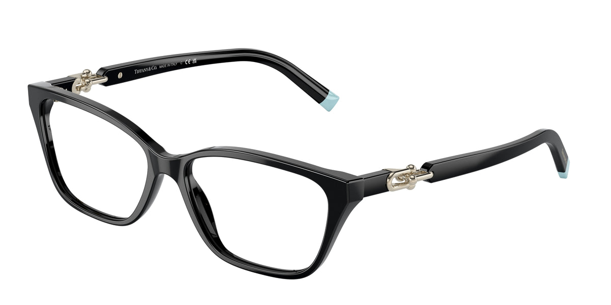 8001 - Black / Demo Lens