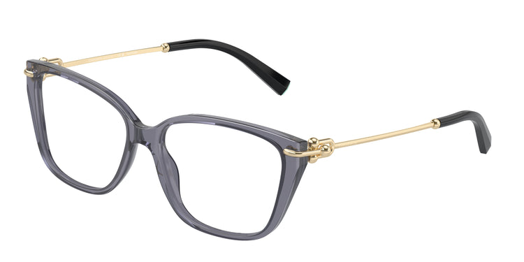 8405 - Crystal Dark Violet / Demo Lens