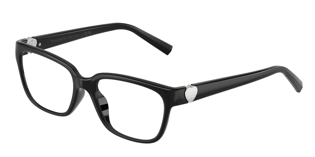 8001 - Black / Demo Lens