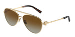 6208T5 - Pale Gold / Polarized Brown Gradient