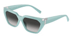 83883C - Tiffany Blue / Grey Gradient