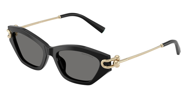 800181 - Black / Dark Grey Polarized