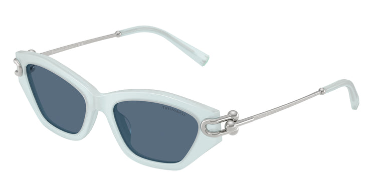 843680 - Frosted Pale Sapphire / Dark Blue