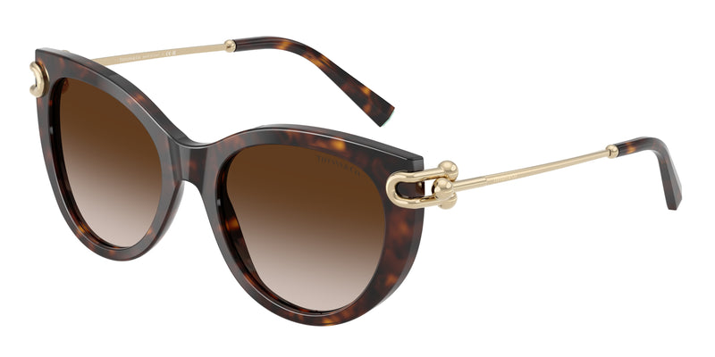 80153B - Havana / Brown Gradient