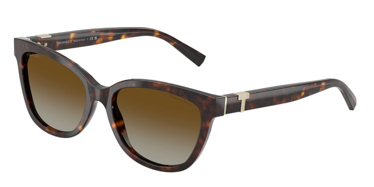8015T5 - Havana / Polar Brown Gradient