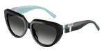 84653C - Black / Grey Gradient
