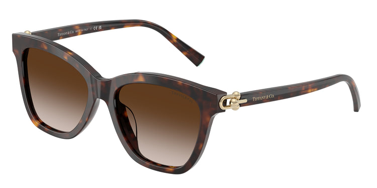 80153B - Havana / Brown Gradient