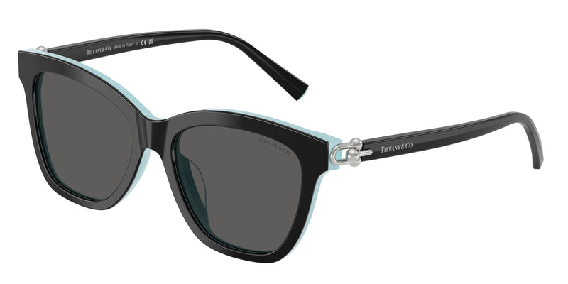 8055S4 - Black On Tiffany Blue / Dark Grey