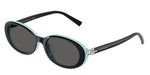 8055S4 - Black On Tiffany Blue / Dark Grey