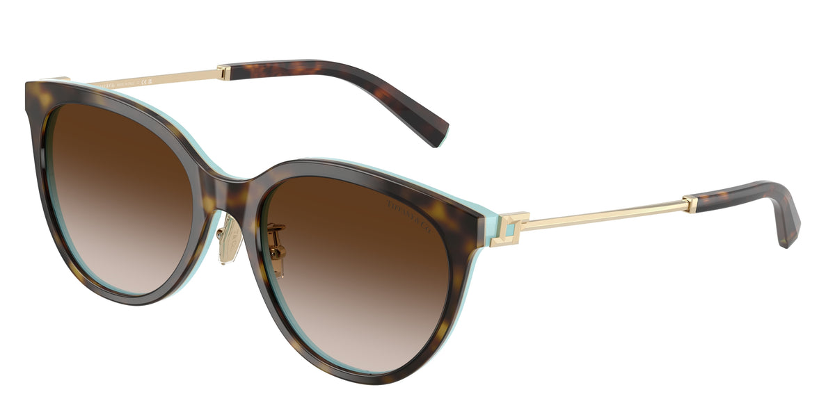 81343B - Havana On Tiffany Blue / Brown Gradient