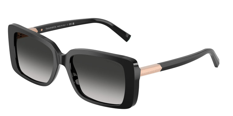 Tiffany & Co. 0TF4249F