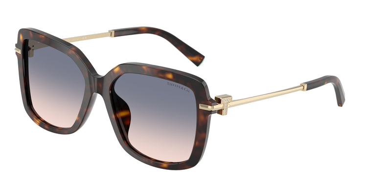 801516 - Havana / Light Brown Gradient Blue