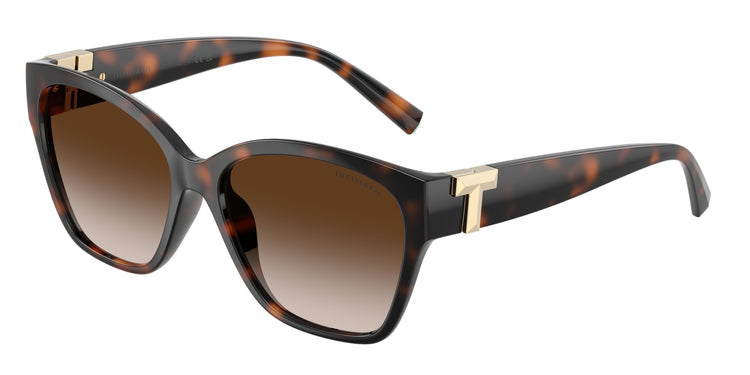 80153B - Havana / Brown Gradient