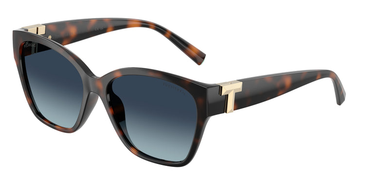 84554U - Havana / Azure Gradient Blue Polarized