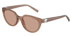 844973 - Coca Cola Sapphire / Brown