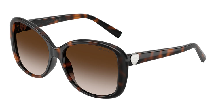 80153B - Havana / Brown Gradient
