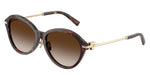 80153B - Havana / Brown Gradient
