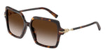 80153B - Havana / Brown Gradient
