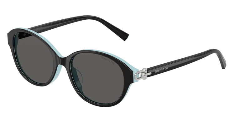 8055S4 - Black On Tiffany Blue / Dark Grey